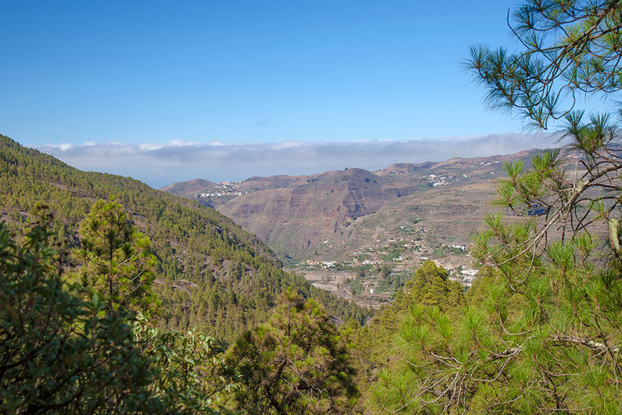 Naturopplevelser på Gran Canaria